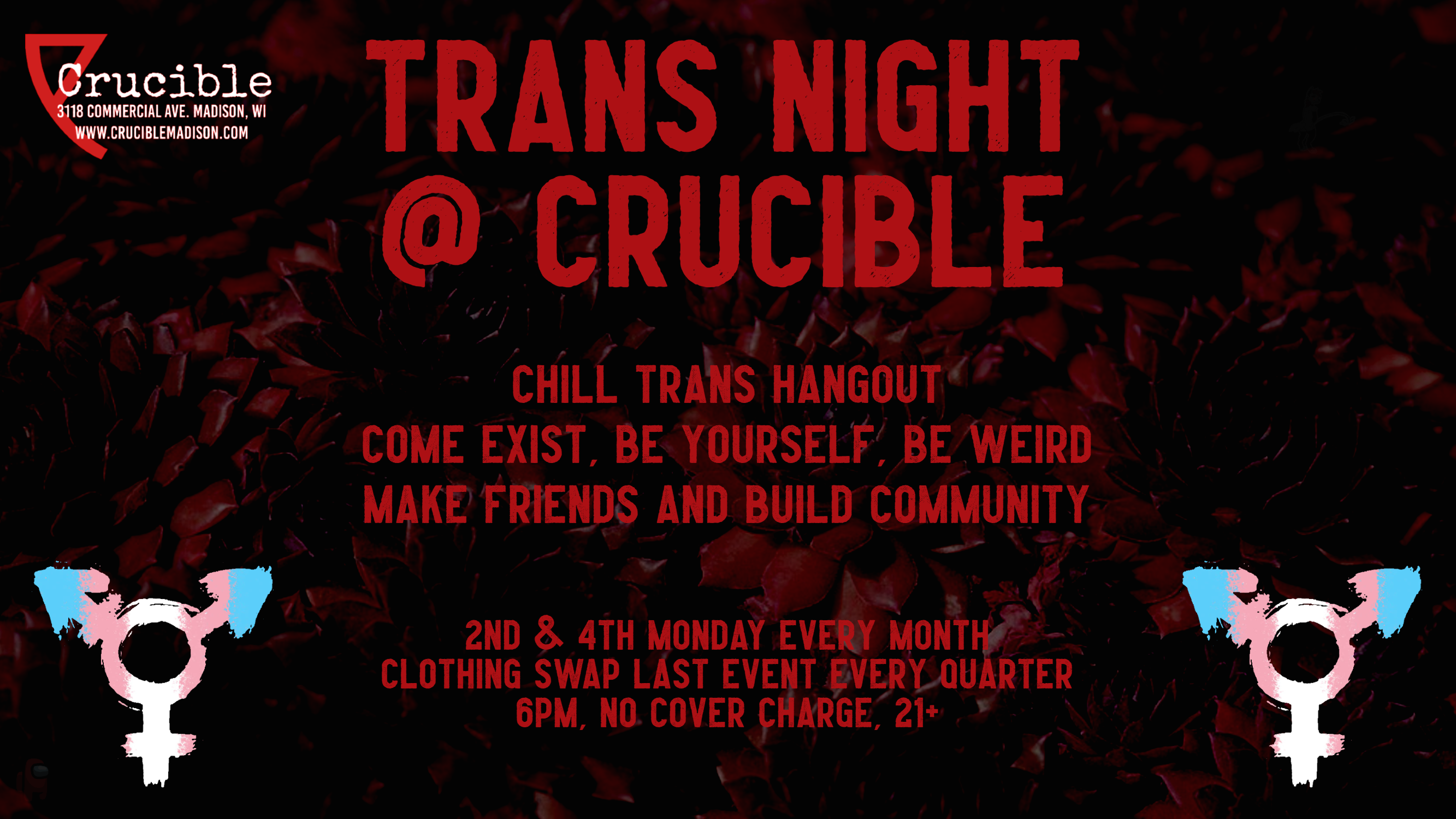 trans social night